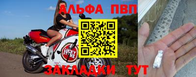 ешки Кингисепп