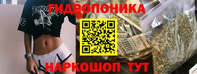 крисы Кинель