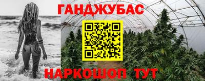 крисы Кинель