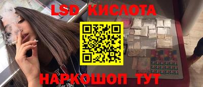 крисы Кинель