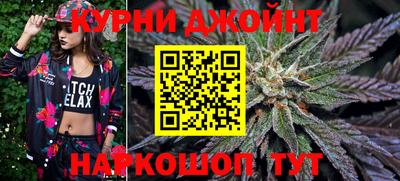 ешки Кингисепп