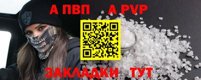 ешки Кингисепп