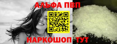 ешки Кингисепп