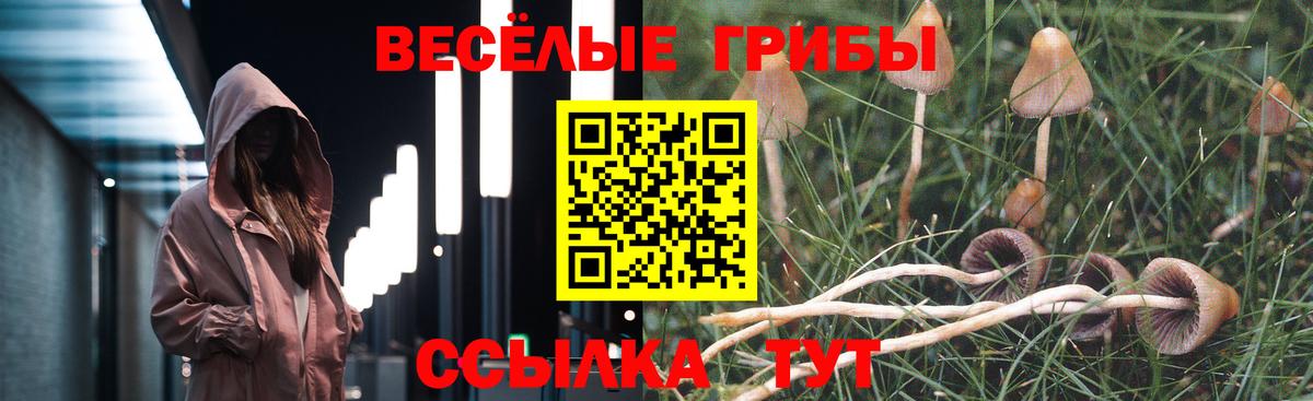 Королёв  хочу   Вход с VPN  Галлюциногенные грибы мухоморы 