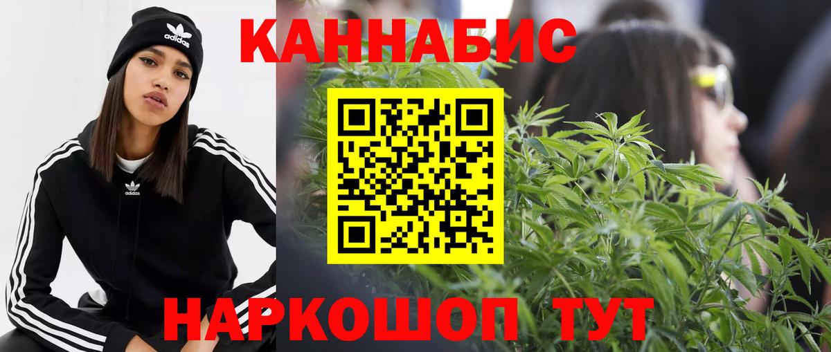 Шишки марихуана планчик Королёв